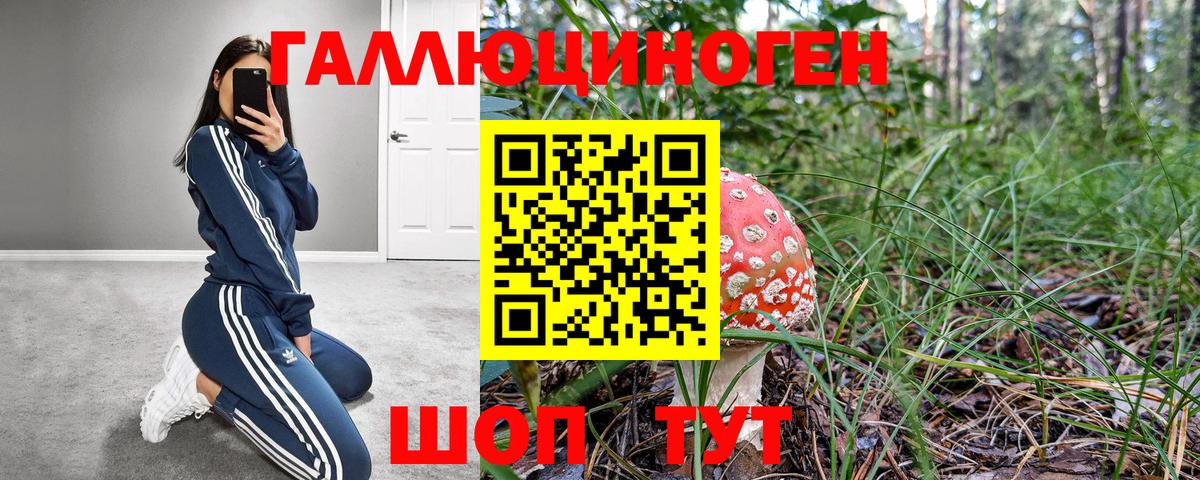 Галлюциногенные грибы мухоморы  Вход с VPN  Корсаков 
