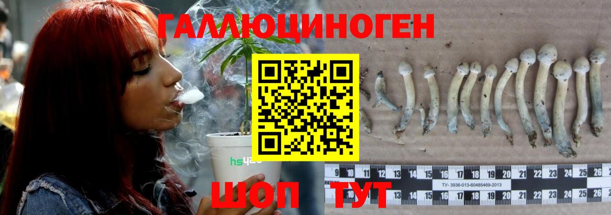 Галлюциногенные грибы GOLDEN TEACHER Корсаков